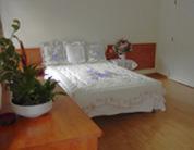 בלינצונה Hotel Leon D'Or חדר תמונה